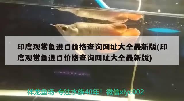 老孔雀魚生仔 前兆，孔雀魚生仔要生多長時間