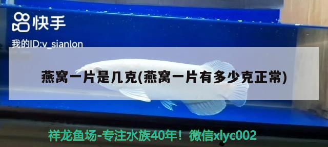 金龍魚(yú)好吃還是魯花花生油：金龍魚(yú)的花生油好還是魯花的花生油好呢 祥龍水族醫(yī)院 第2張