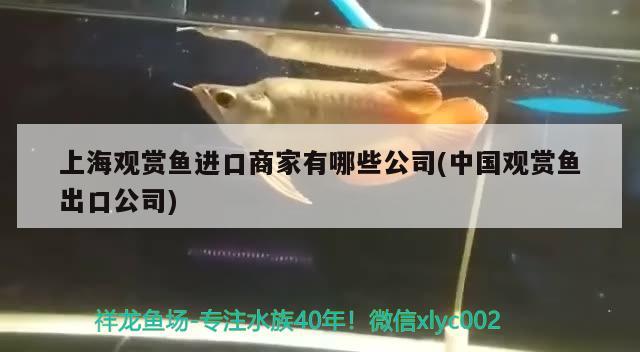 上海觀賞魚進口商家有哪些公司(中國觀賞魚出口公司) 觀賞魚進出口