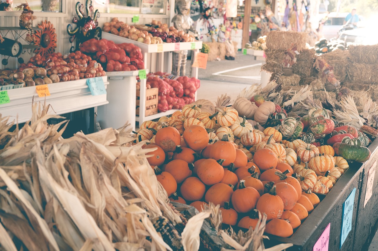 為什么金龍魚尾巴是紅色的（為什么金龍魚尾巴是紅色的圖片） 紅白錦鯉魚 第3張