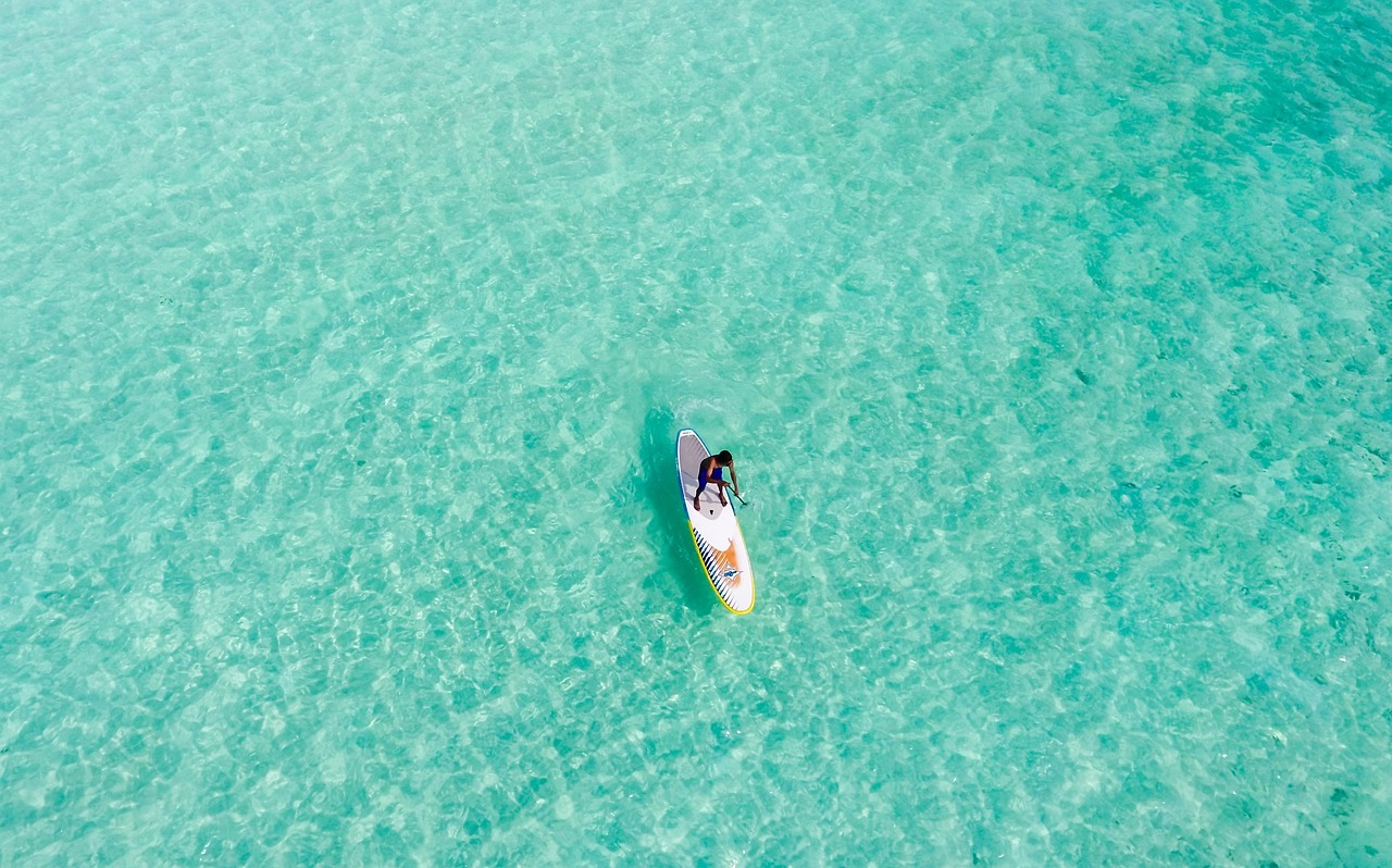 龍魚缸過濾棉多久換一次，龍魚缸過濾棉多久換一次比較好 養(yǎng)魚知識 第1張