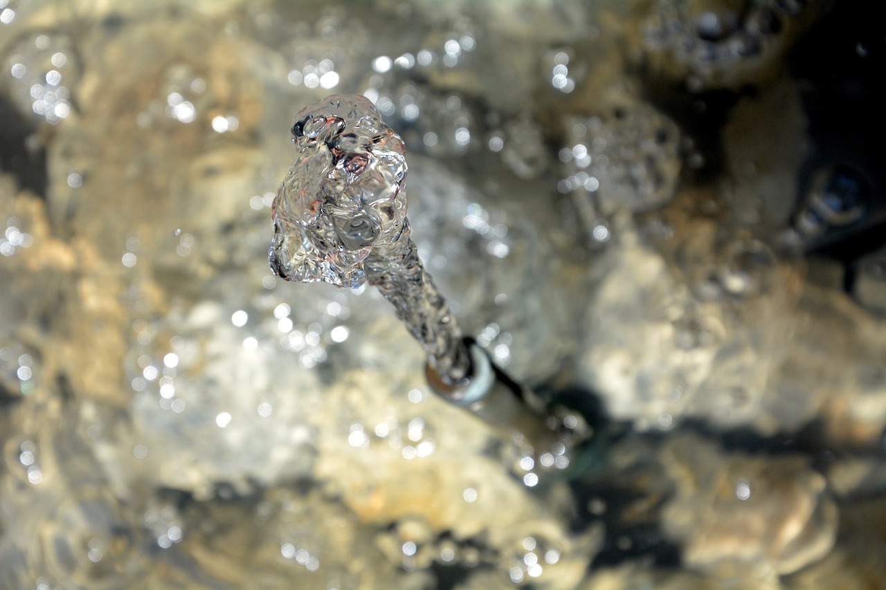 養(yǎng)水虎放火山石可以嗎，水虎魚怎么換水 注意換水的頻率