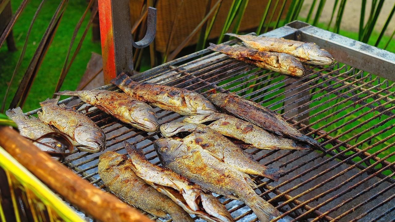 虎皮魚每天喂食多少次，虎皮魚喂多大的飼料 觀賞魚 第3張