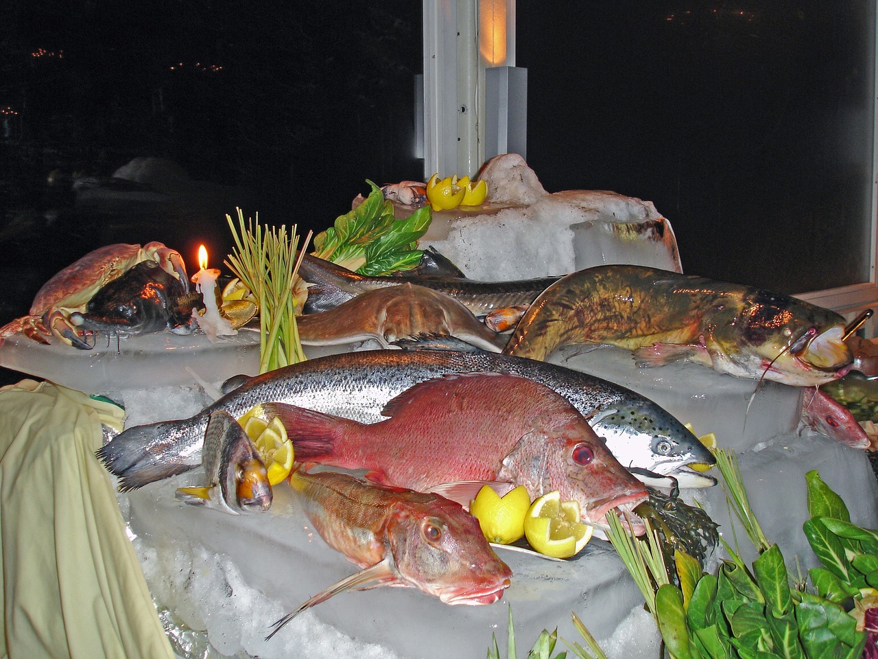 虎鯨跟抹香鯨誰(shuí)厲害（虎鯨和抹香鯨誰(shuí)厲害） 虎魚百科 第3張