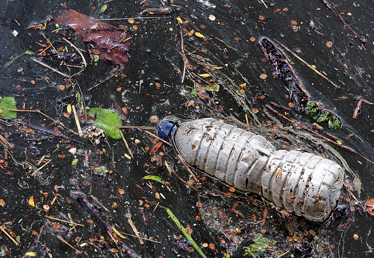 魚缸里的生物課讀后感：探索水下生物的神奇世界魚缸里的生態(tài)平衡