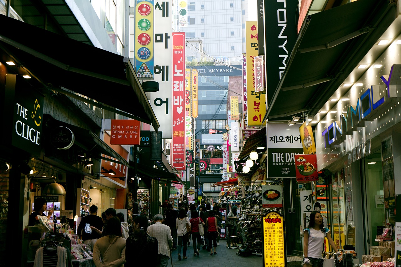 西安有哪些花鳥市場？ 養(yǎng)魚知識 第2張