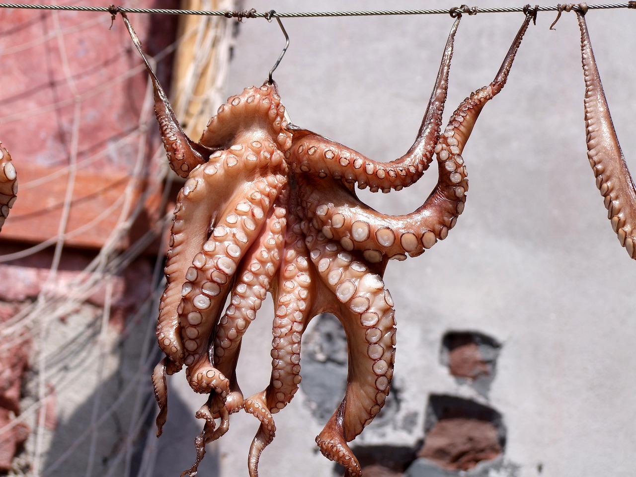 杭州定制魚(yú)缸在哪兒做的最好，仟湖魚(yú)缸在哪兒做魚(yú)缸最好 仟湖 第2張