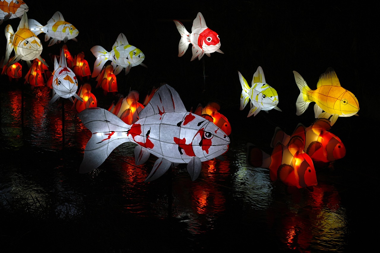 銀龍魚(yú)一次吃多少飼料（銀龍魚(yú)一次喂多少飼料） 觀賞魚(yú)飼料 第1張