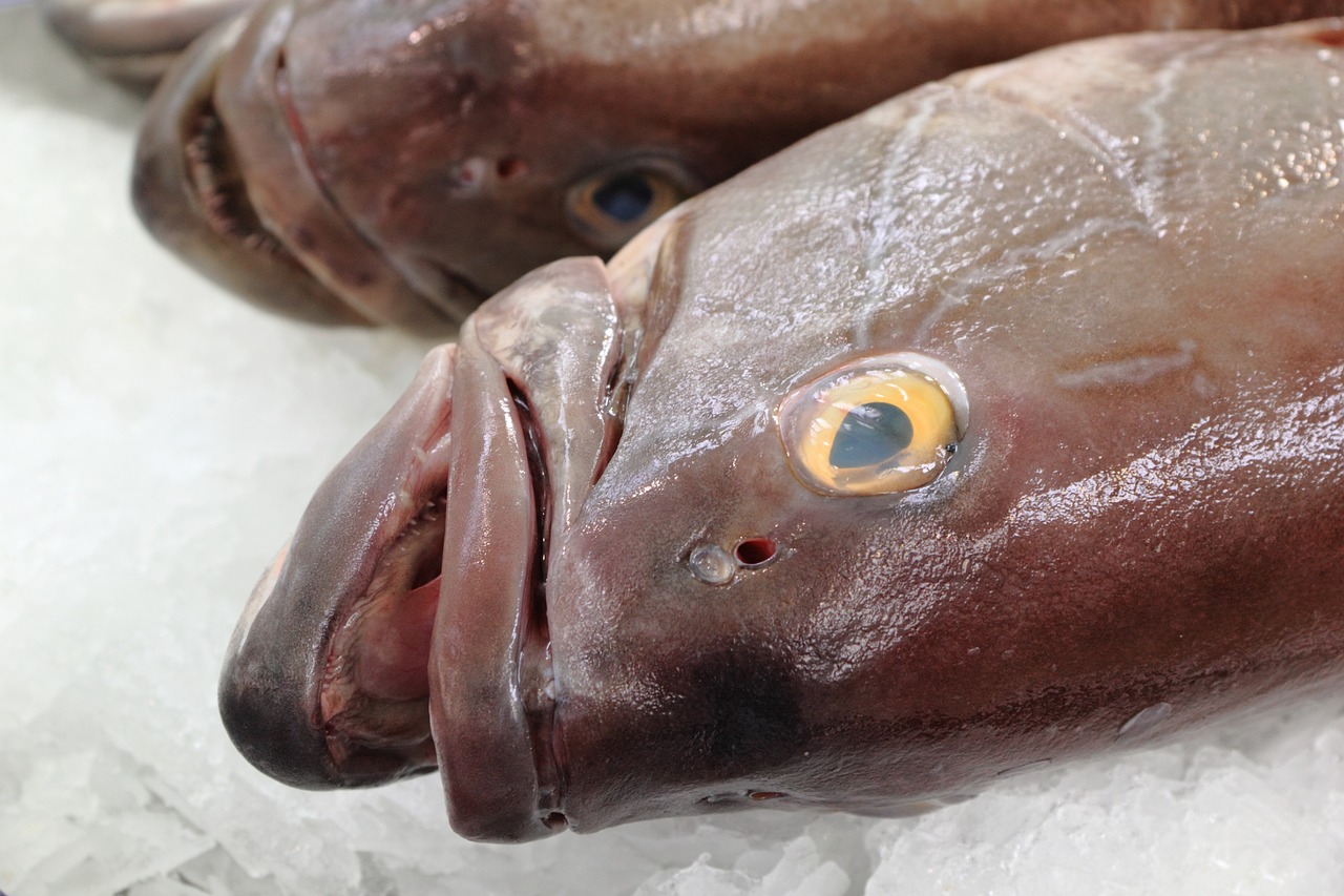 鸚鵡魚魚缸換水需要加鹽嗎為什么還要加鹽，鸚鵡魚換水加藥嗎 鸚鵡魚 第1張