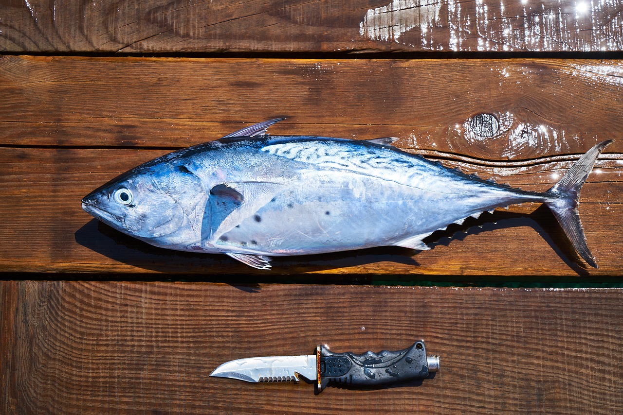 魚(yú)缸里撈出最靈活的魚(yú)缸撈出最靈活的魚(yú)缸撈出最靈活的魚(yú)缸 養(yǎng)魚(yú)知識(shí) 第1張