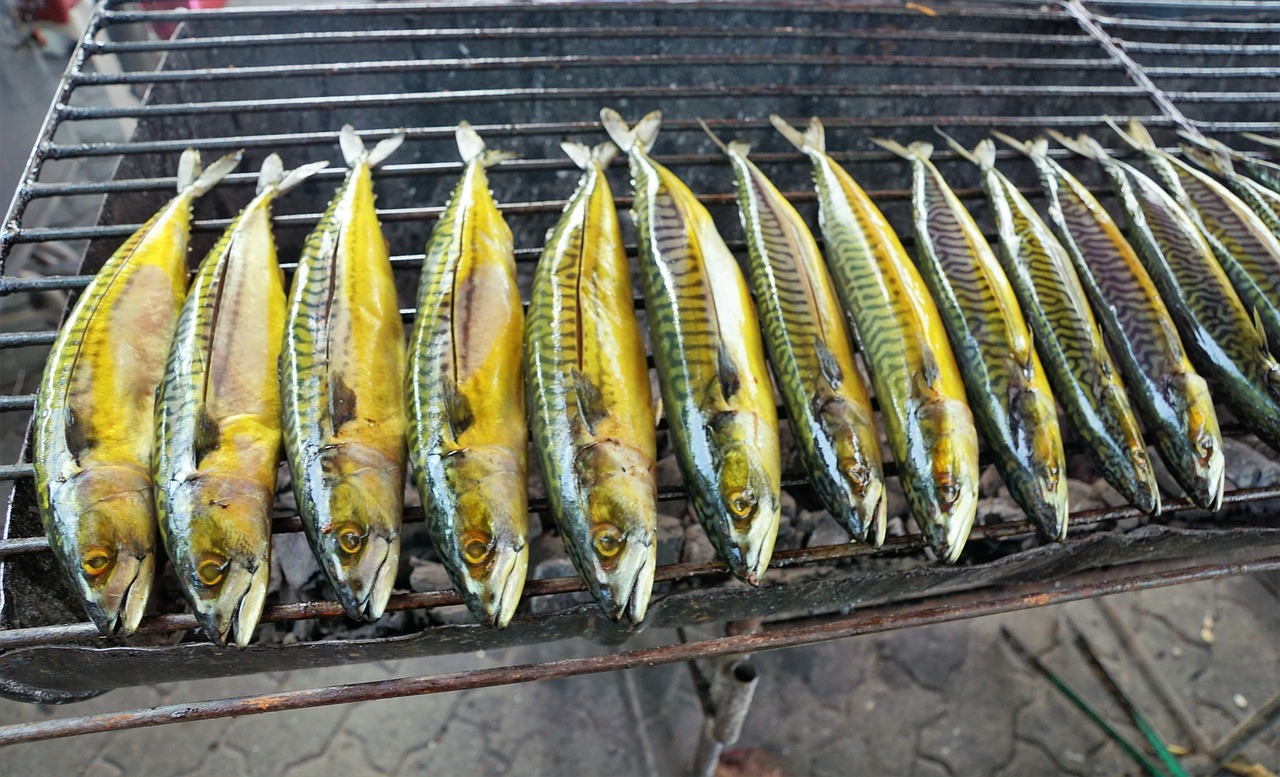 龍魚(yú)黃燈和白燈區(qū)別圖片對(duì)比（龍魚(yú)白燈24小時(shí)開(kāi)有問(wèn)題嗎） 水族燈（魚(yú)缸燈） 第3張