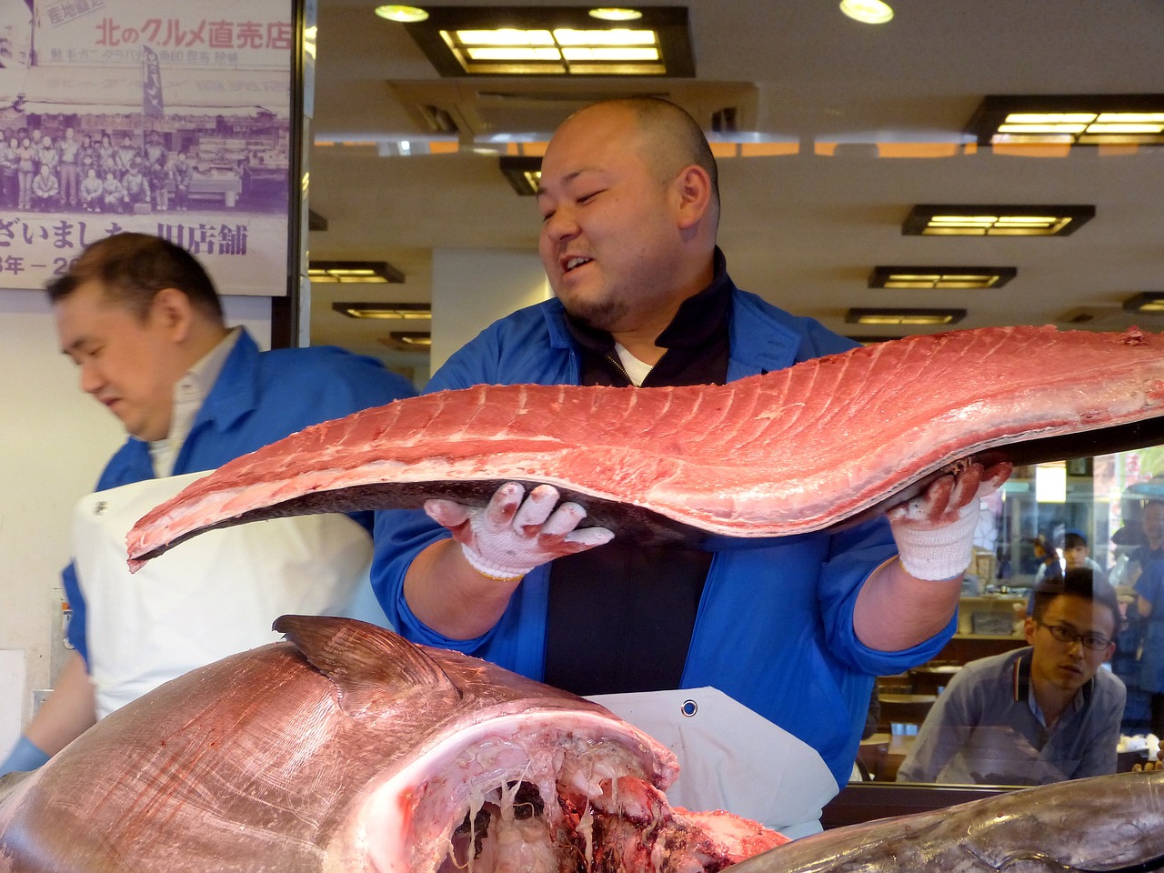 魚缸里養(yǎng)多少魚好，魚缸內(nèi)養(yǎng)多少魚吉利_ 養(yǎng)魚知識 第1張