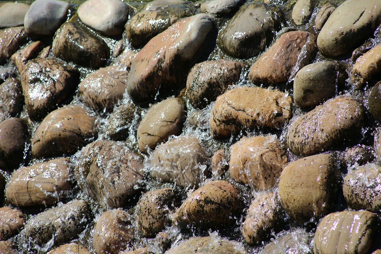 大魚(yú)缸糞便怎么清理干凈，大魚(yú)缸魚(yú)屎怎么清理 養(yǎng)魚(yú)知識(shí) 第2張