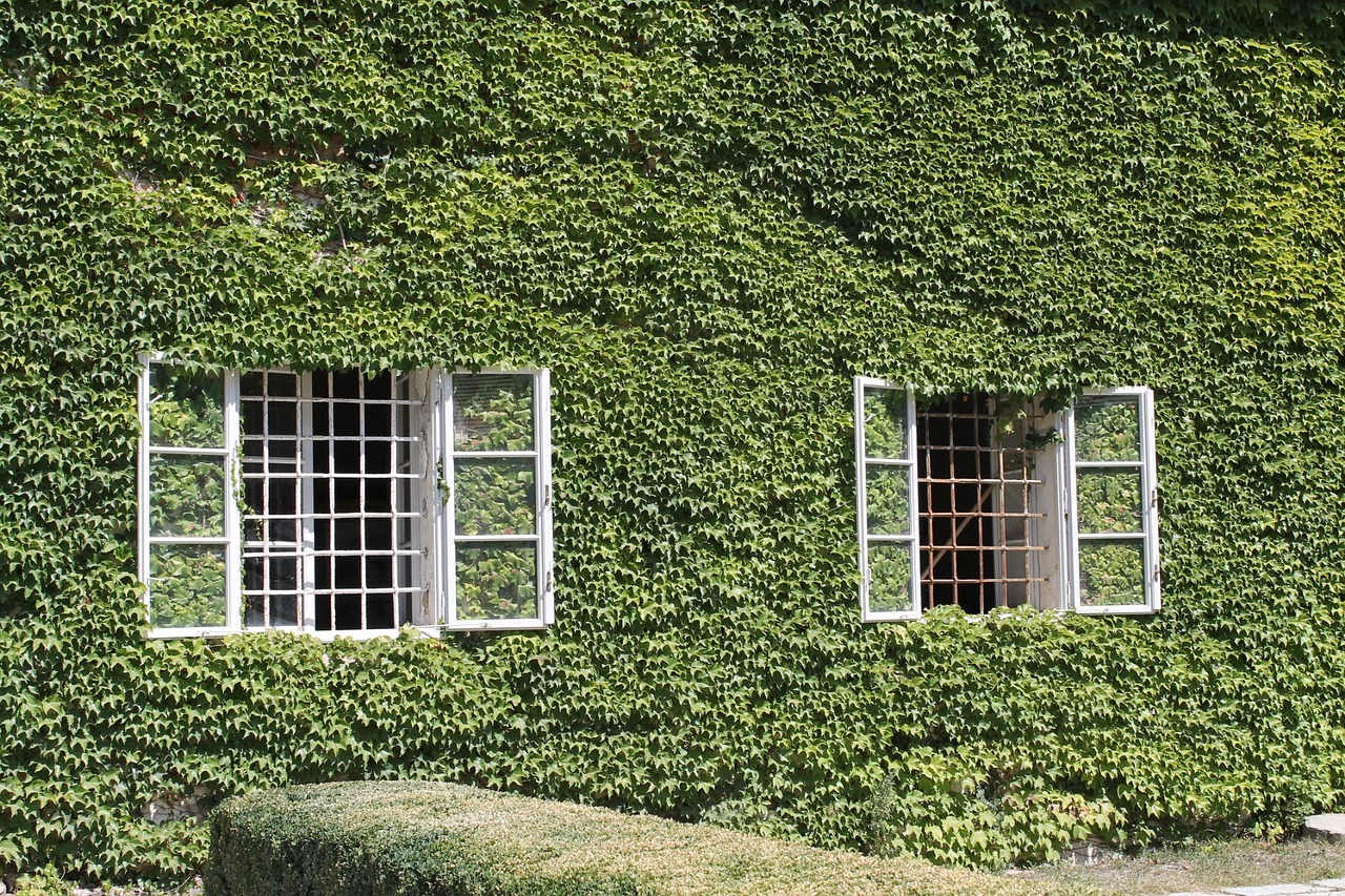 仿真綠植墻植物墻 （仿真綠植墻植物墻效果圖） 廣州景觀設(shè)計(jì) 第2張