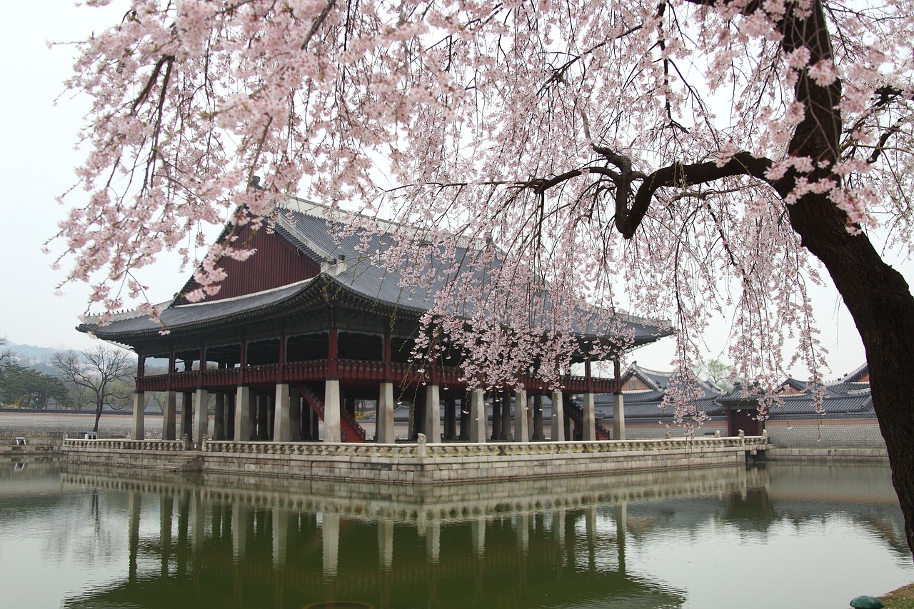 鞍山最大水族批發(fā)市場(chǎng)地址電話：鞍山最大水族批發(fā)市場(chǎng)地址電話是多少