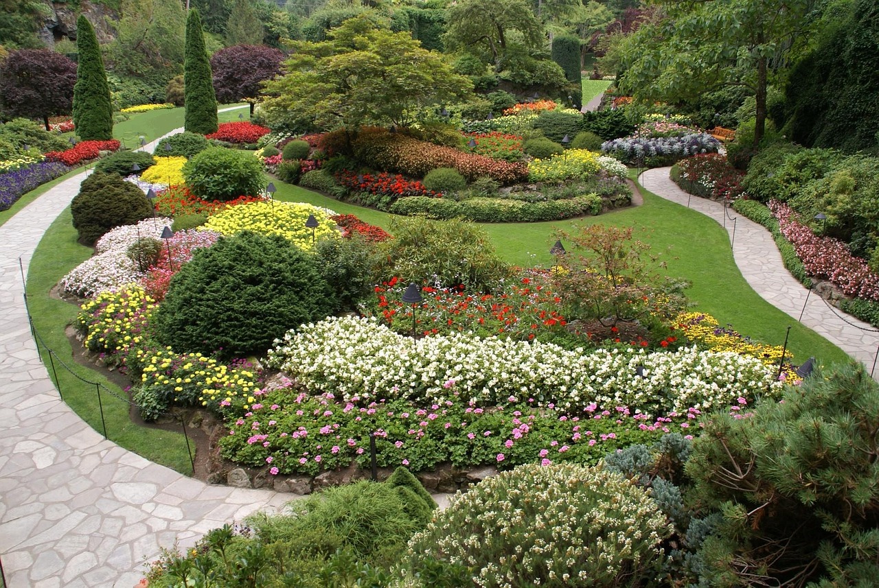 廣州本地植物園有哪些 （廣州本地植物園有哪些景點） 廣州景觀設(shè)計 第2張