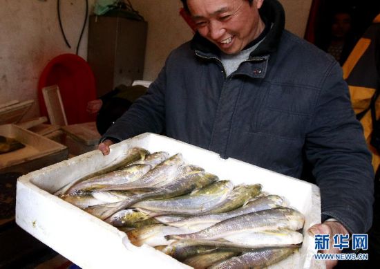 養(yǎng)七彩神仙魚用什么缸好，七彩神仙魚用什么缸好 七彩神仙魚 第2張