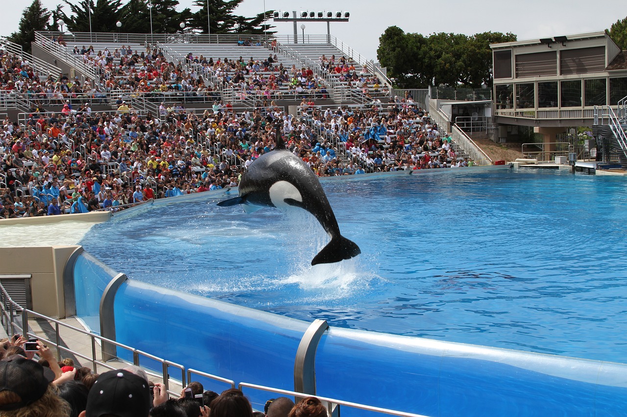 商河縣宇琨水族館  全國水族館企業(yè)名錄 第2張