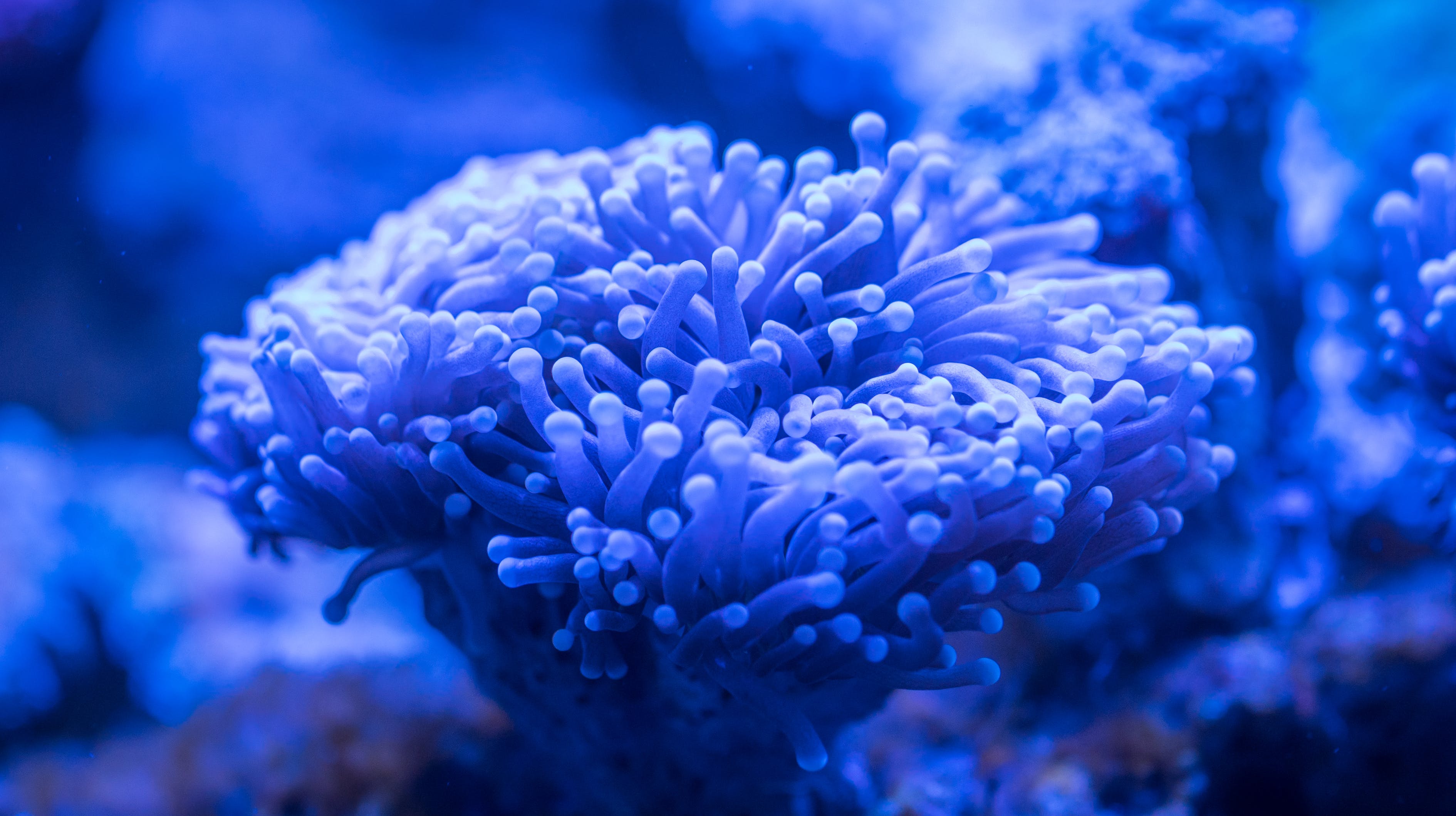 修水縣幸福水族館 （修水縣幸福水族館電話）