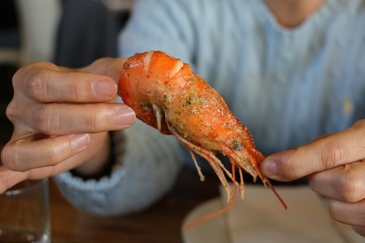 銀魚(yú)是白色的好還是黃色的好？銀魚(yú)是海魚(yú)嗎（銀魚(yú)是白色的好還是白色的好，銀魚(yú)是白色的好還是黃色的好） 祥龍水族護(hù)理水 第3張