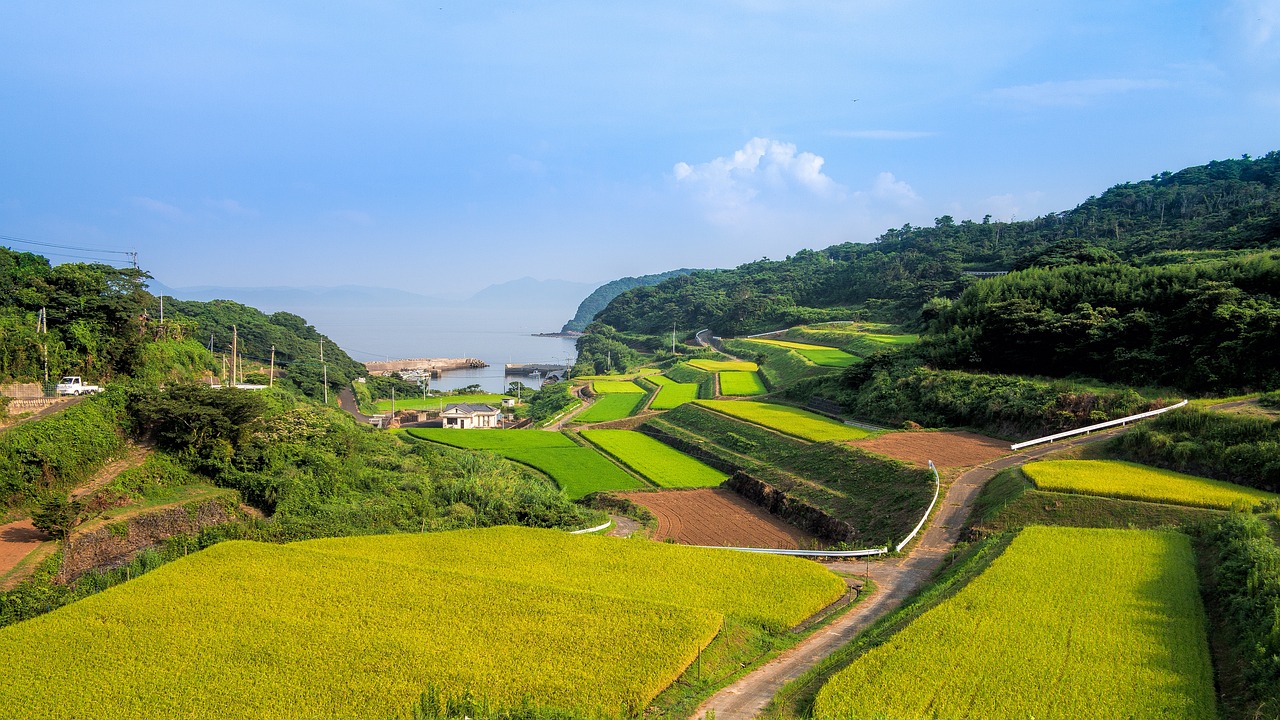 荔波九龍溪鄉(xiāng)村旅游有限公司 