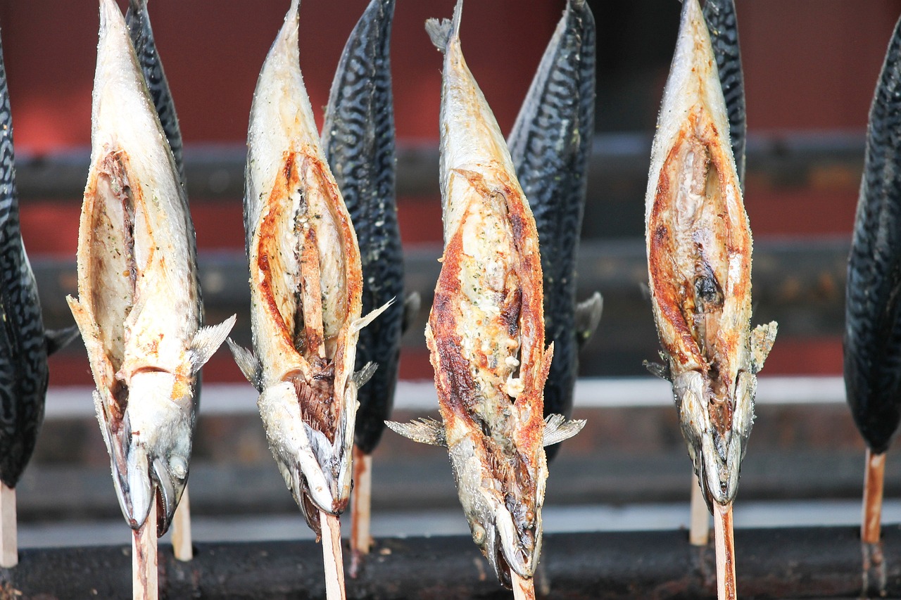 魚池過濾器五大品牌 魚池過濾器五大品牌排行榜 養(yǎng)魚的好處 第2張