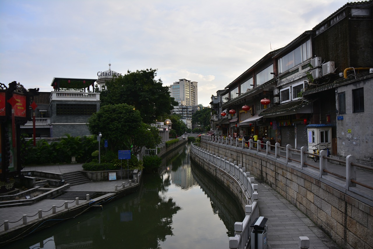 龍魚的鱗片掉了怎么辦，龍魚的魚鱗掉了一個可以恢復(fù)嗎 龍魚專用燈 第2張