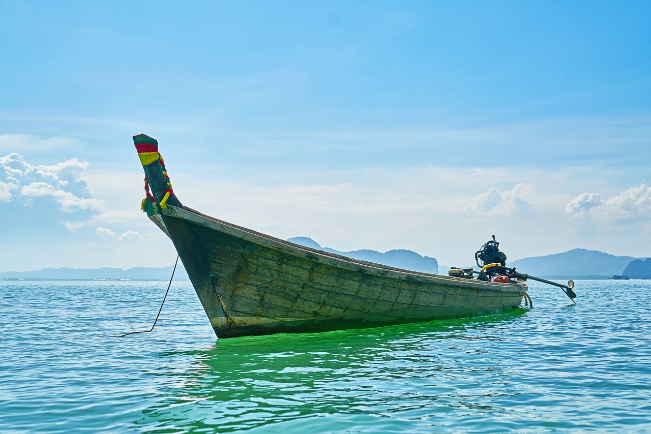 鼓樓區(qū)丁保蘭水族館 （鼓樓區(qū)丁保蘭水族館地址） 全國(guó)水族館企業(yè)名錄 第2張