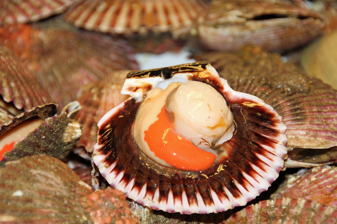 家常烤魚(yú)的做法大全 觀賞魚(yú) 第1張