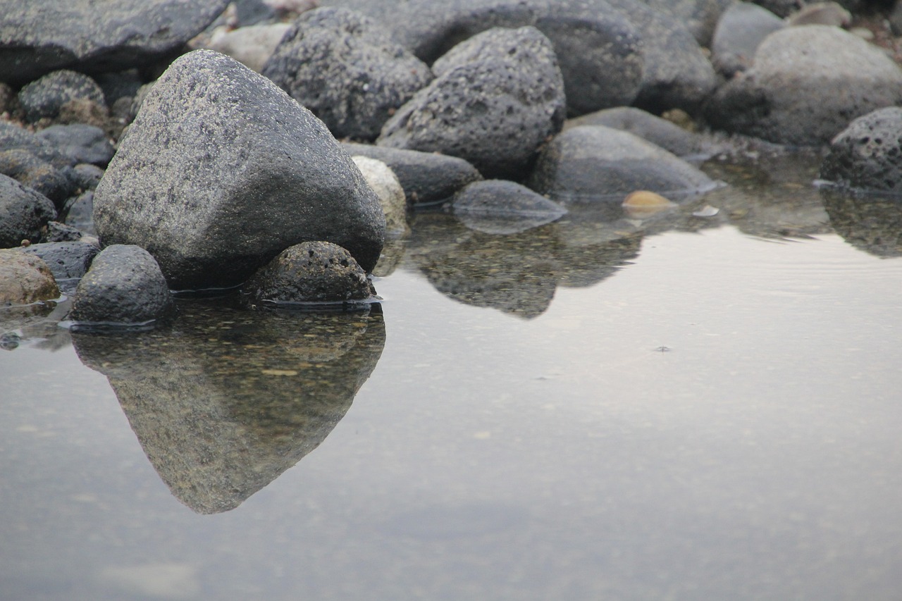 樂山魚缸定制廠家地址電話：樂山魚缸定制廠家地址電話號(hào)碼