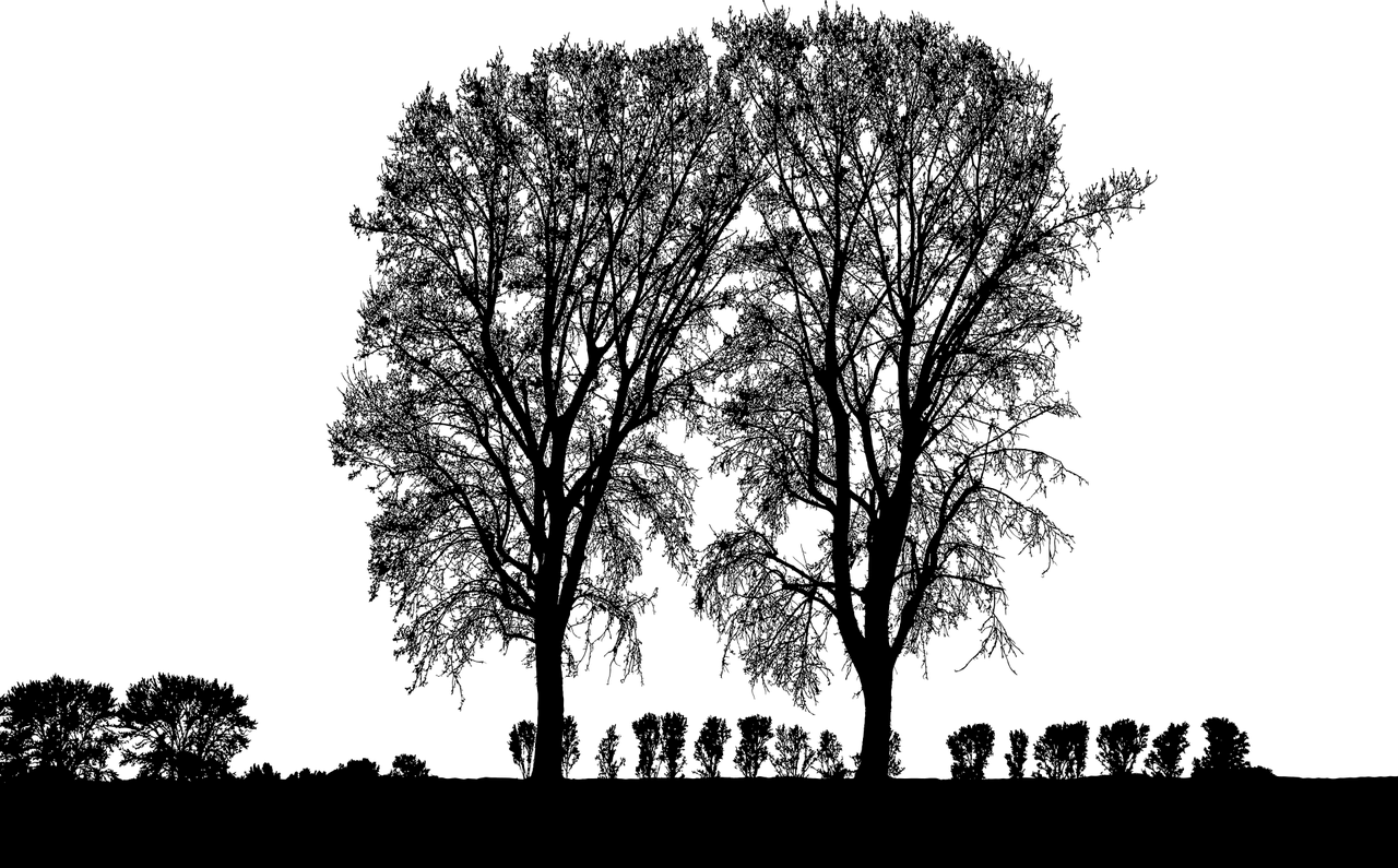 景觀設(shè)計(jì)師證考什么專(zhuān)業(yè)比較好  廣州景觀設(shè)計(jì) 第2張