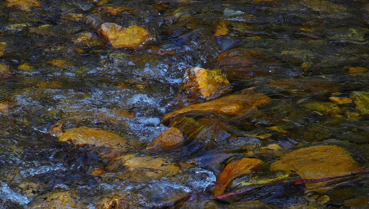 魚缸造景哪種石頭好（魚缸造景用什么石）