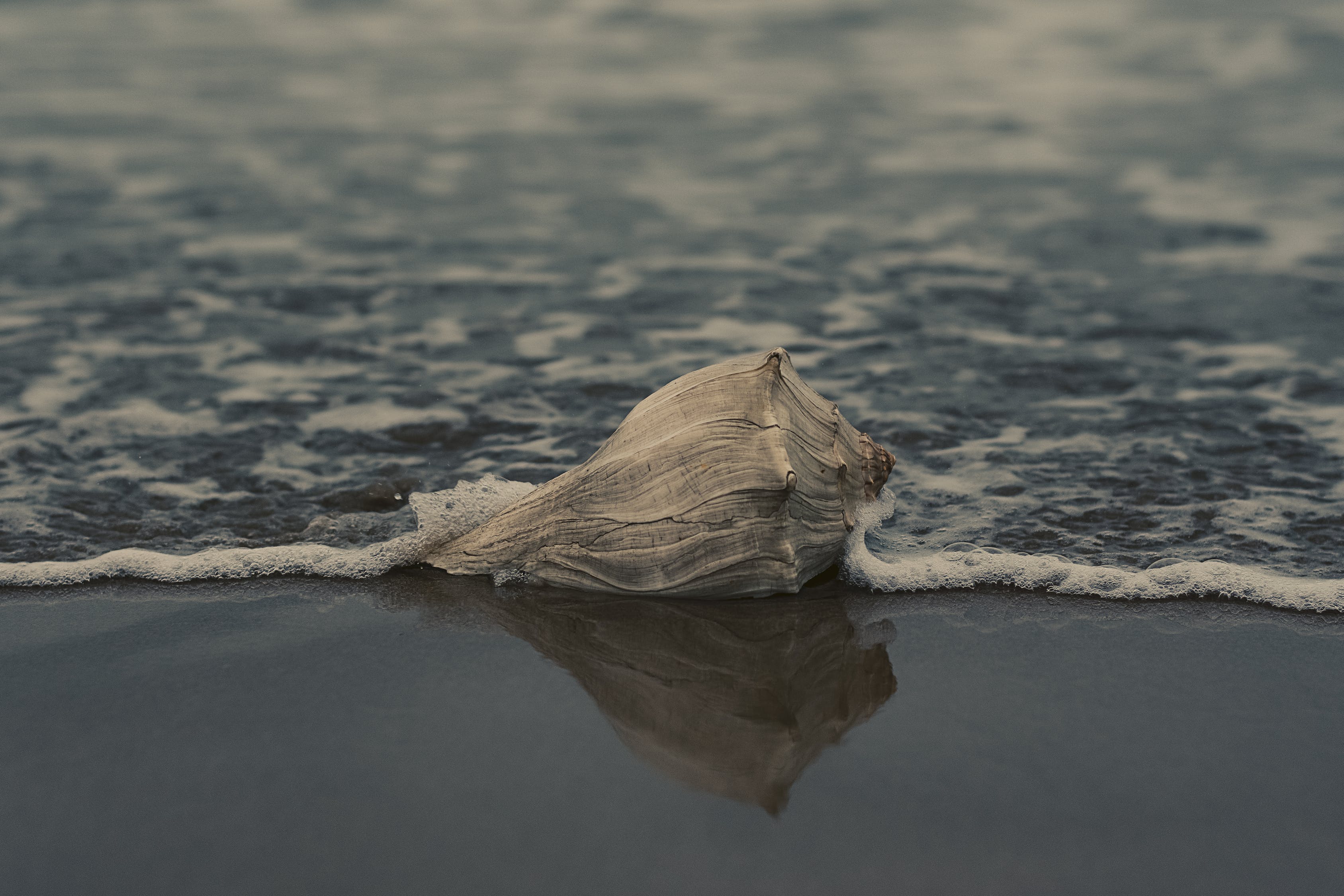 有沙子的魚缸如何清理干凈  白寫錦鯉魚 第2張