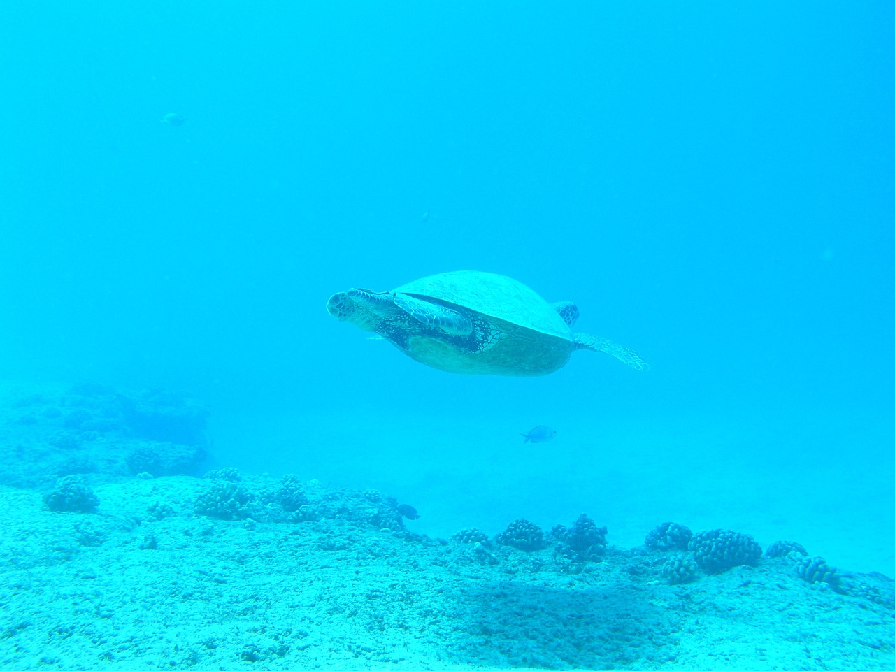 上海市徐匯區(qū)生海水族館 （上海市徐匯區(qū)生海水族館地址）