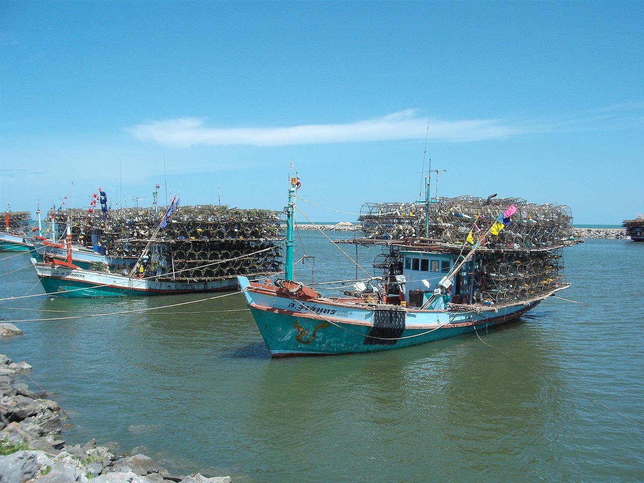 海水魚缸品牌十大排名，海水魚缸和普通魚缸區(qū)別