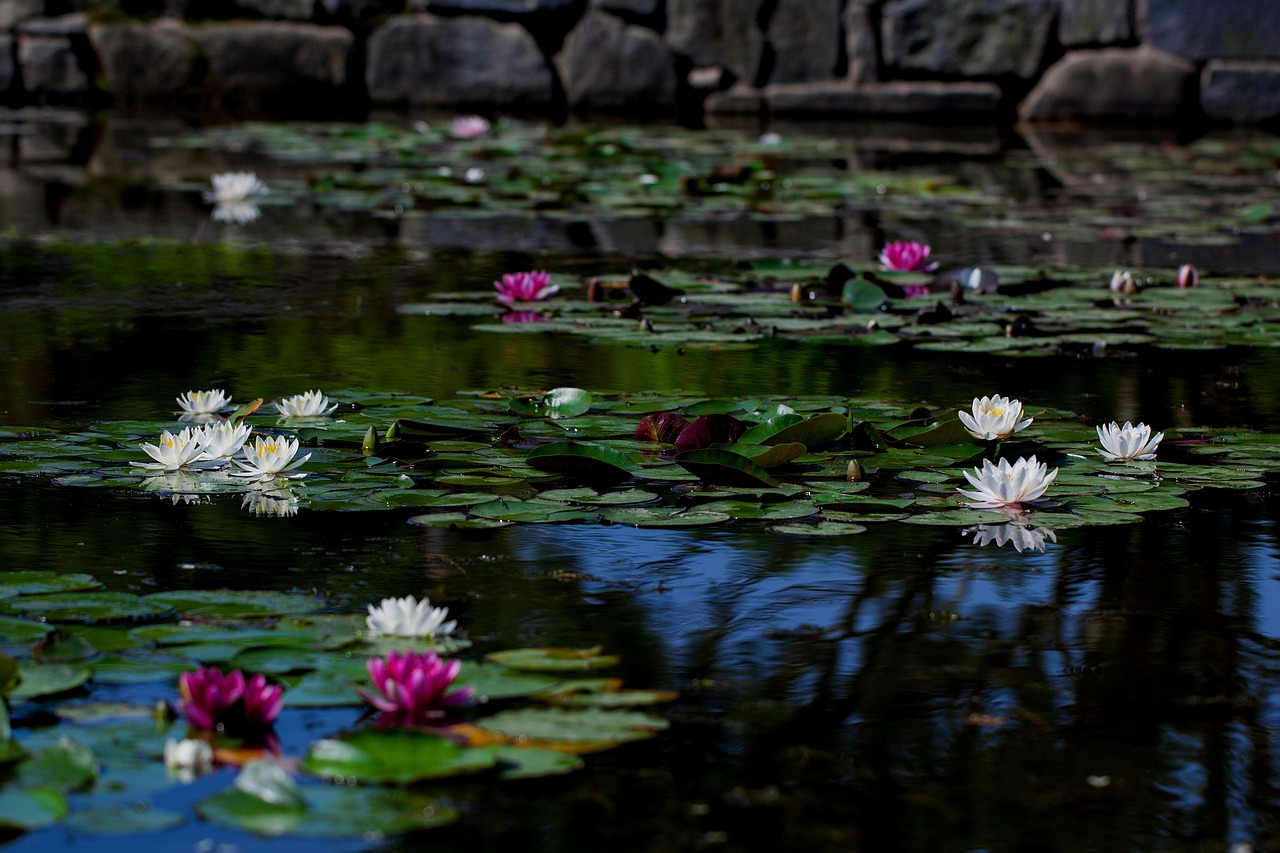 白石頭魚(yú)缸造景圖片大全集 