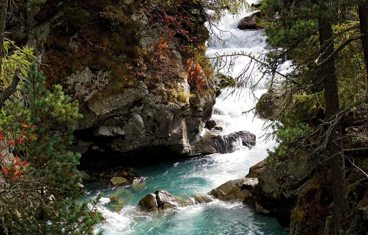 溪流缸造景石頭擺法（溪流缸造景用什么石頭）