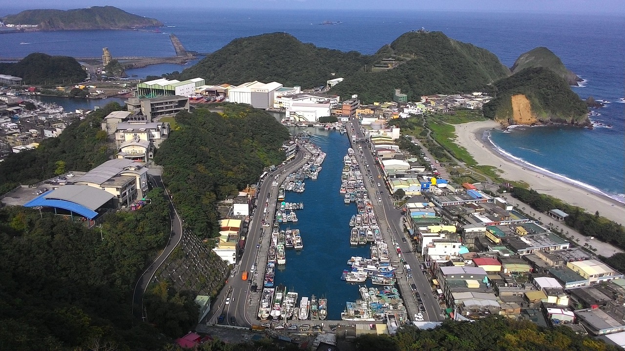 洮南市萬寶鎮(zhèn)老七觀賞魚商店 全國水族館企業(yè)名錄 第1張