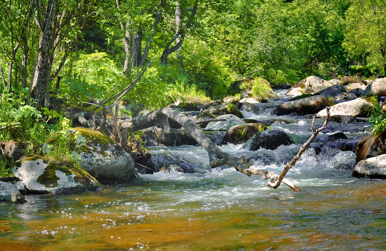 溪流魚(yú)缸造景視頻大全高清圖（溪流魚(yú)缸造景視頻大全高清圖片）