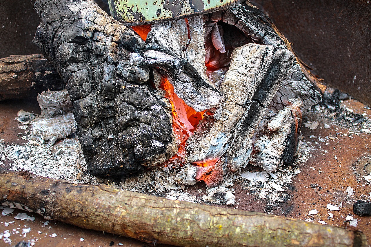 野生鱘龍魚多少一斤正常，野生鱘龍魚是保護(hù)動(dòng)物嗎 觀賞魚 第3張