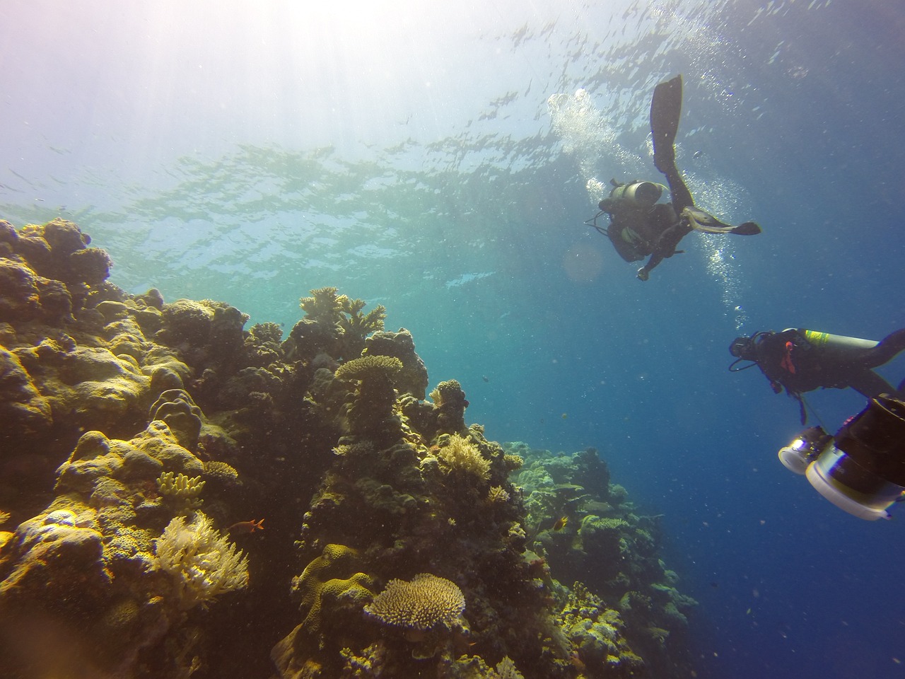 溪流原生魚缸造景效果圖（溪流原生魚缸造景效果圖大全） 廣州景觀設(shè)計 第1張