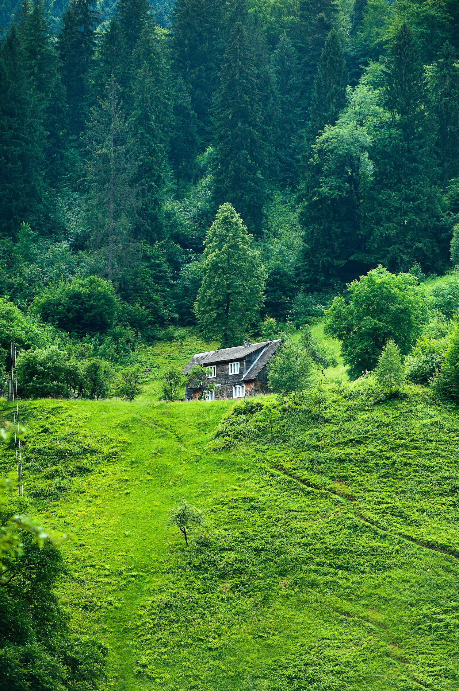 現(xiàn)代枯山水景觀案例（現(xiàn)代枯山水景觀案例分析） 廣州景觀設(shè)計(jì) 第4張