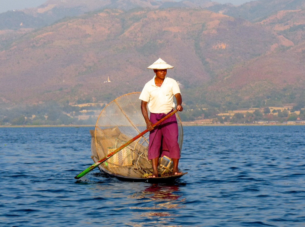 獨(dú)特的魚文化（魚文化內(nèi)容）