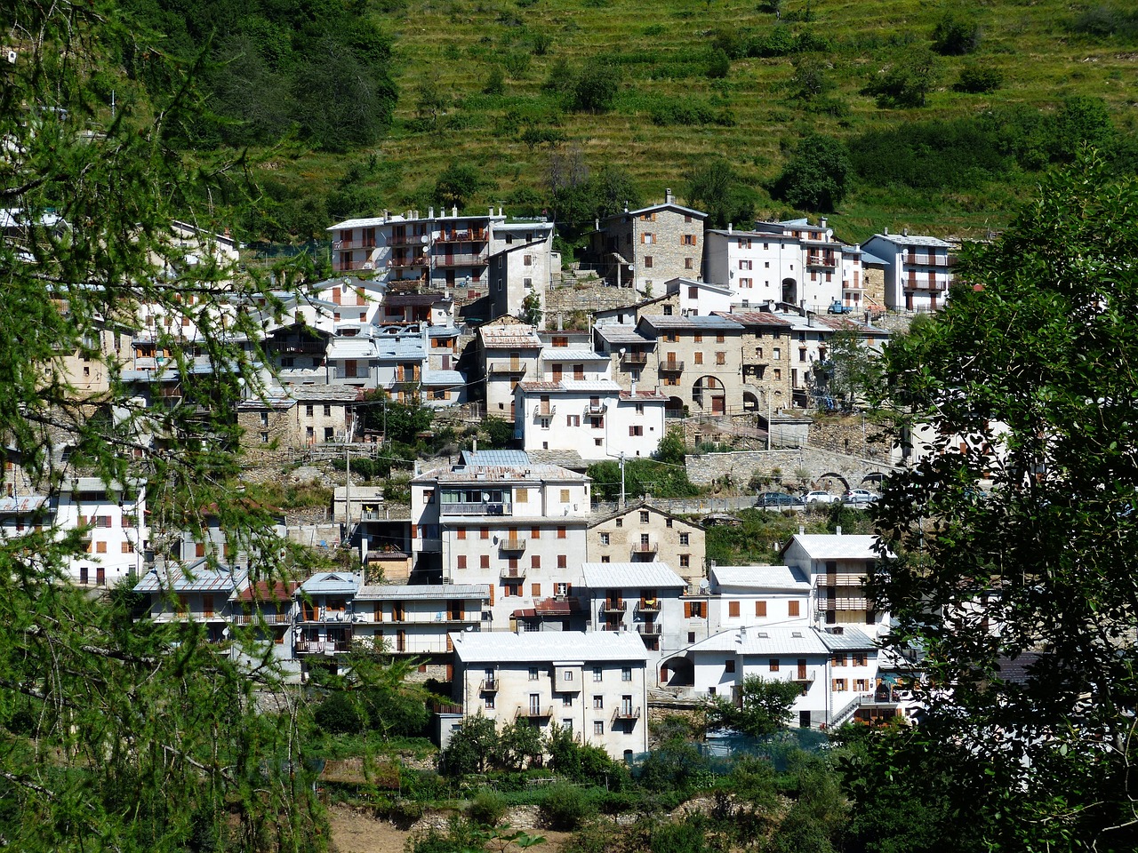 魚池屬于哪個(gè)鄉(xiāng)鎮(zhèn)（魚池屬于哪里） 廣州景觀設(shè)計(jì) 第5張