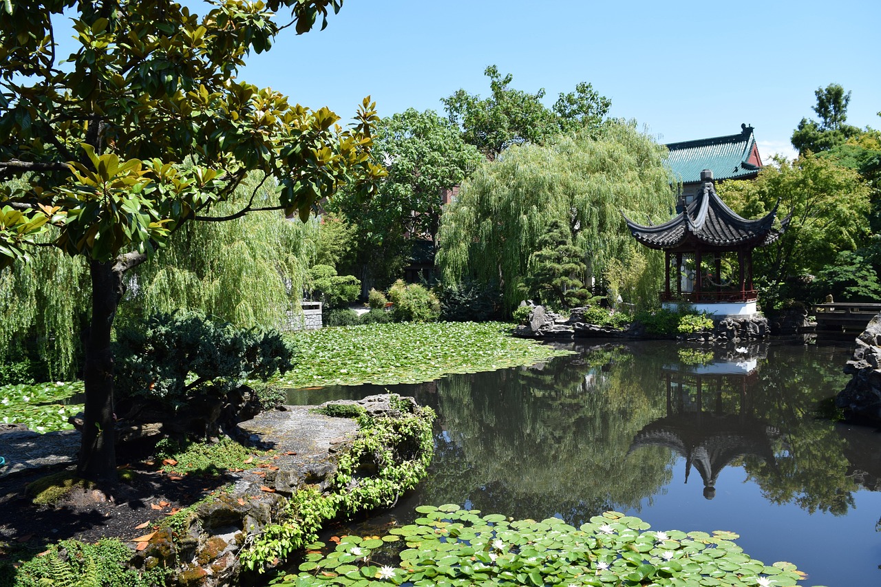 魚池園林景觀設(shè)計（魚池園林景觀設(shè)計圖片）