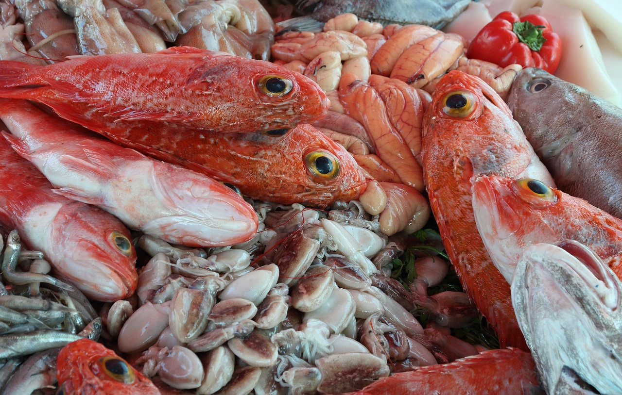 印度本土魚，印度美食魚 養(yǎng)魚知識 第1張