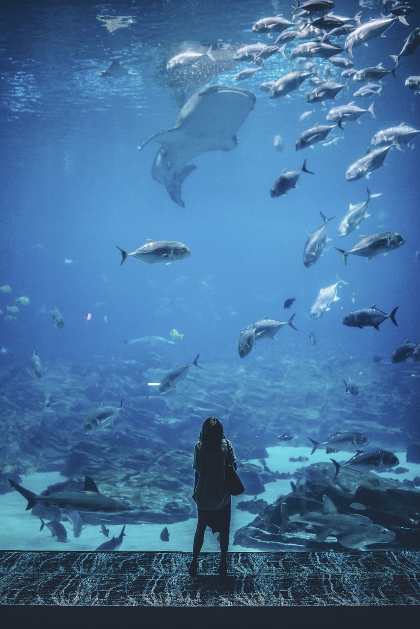 大慶水族館（大同哪里有水族館）