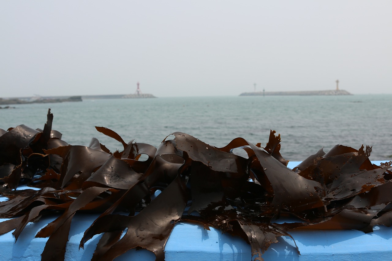 清理魚缸的冷水魚有哪些好處，，清潔魚缸的冷水魚有哪些好處清理魚缸的冷水魚有哪些好處