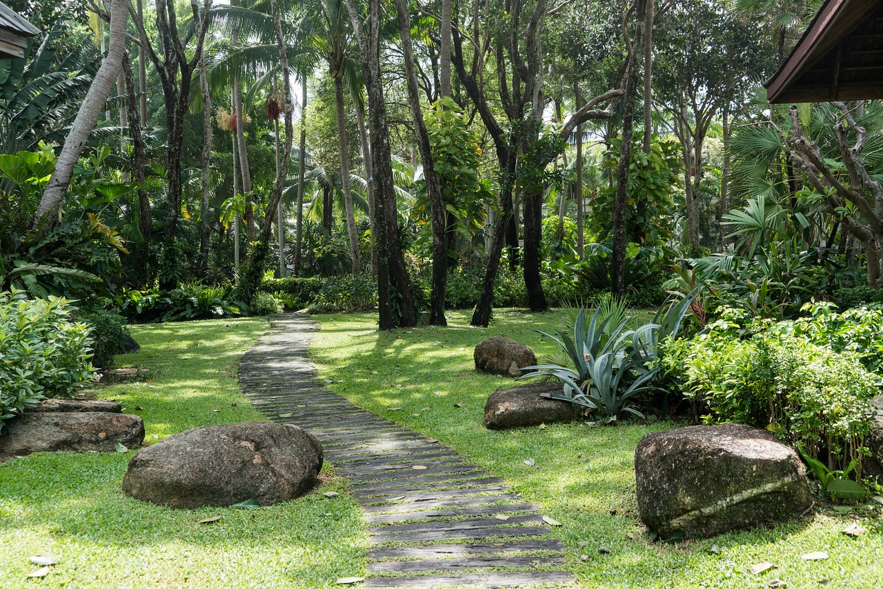 植物墻制作視頻教程大全（植物墻制作視頻教程大全圖片） 廣州景觀設(shè)計 第4張