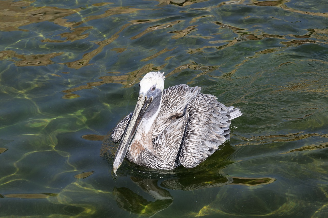 周口水族館